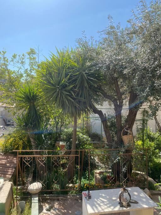 Central House With Beautiful Garden Amã Exterior foto