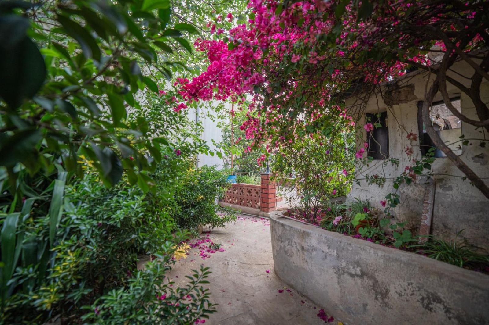 Central House With Beautiful Garden Amã Exterior foto